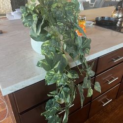 Faux Plant