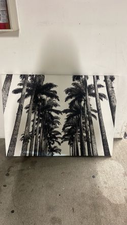 Large picture