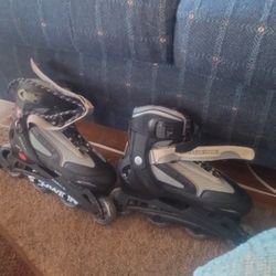 Schwinn Roller Blades 