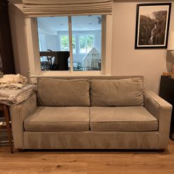 West Elm/pottery Barn Performance Velvet Couch 