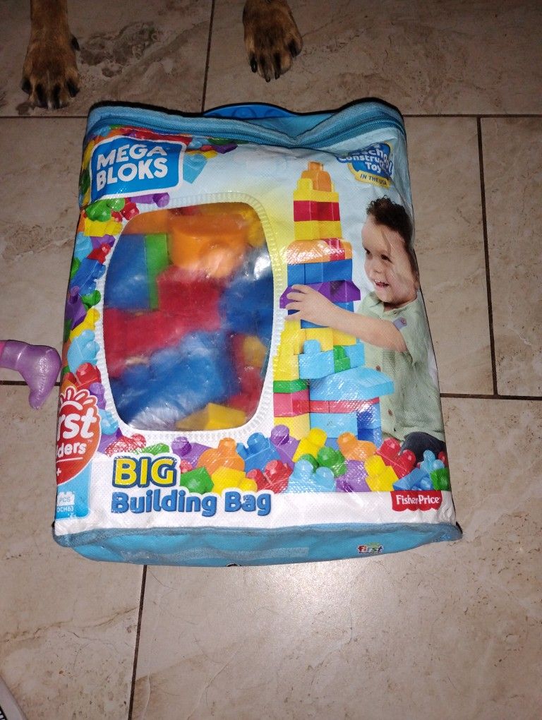 Mega Bloks Fisher Price