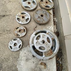 Punching Back And Weights Plates And Bar 