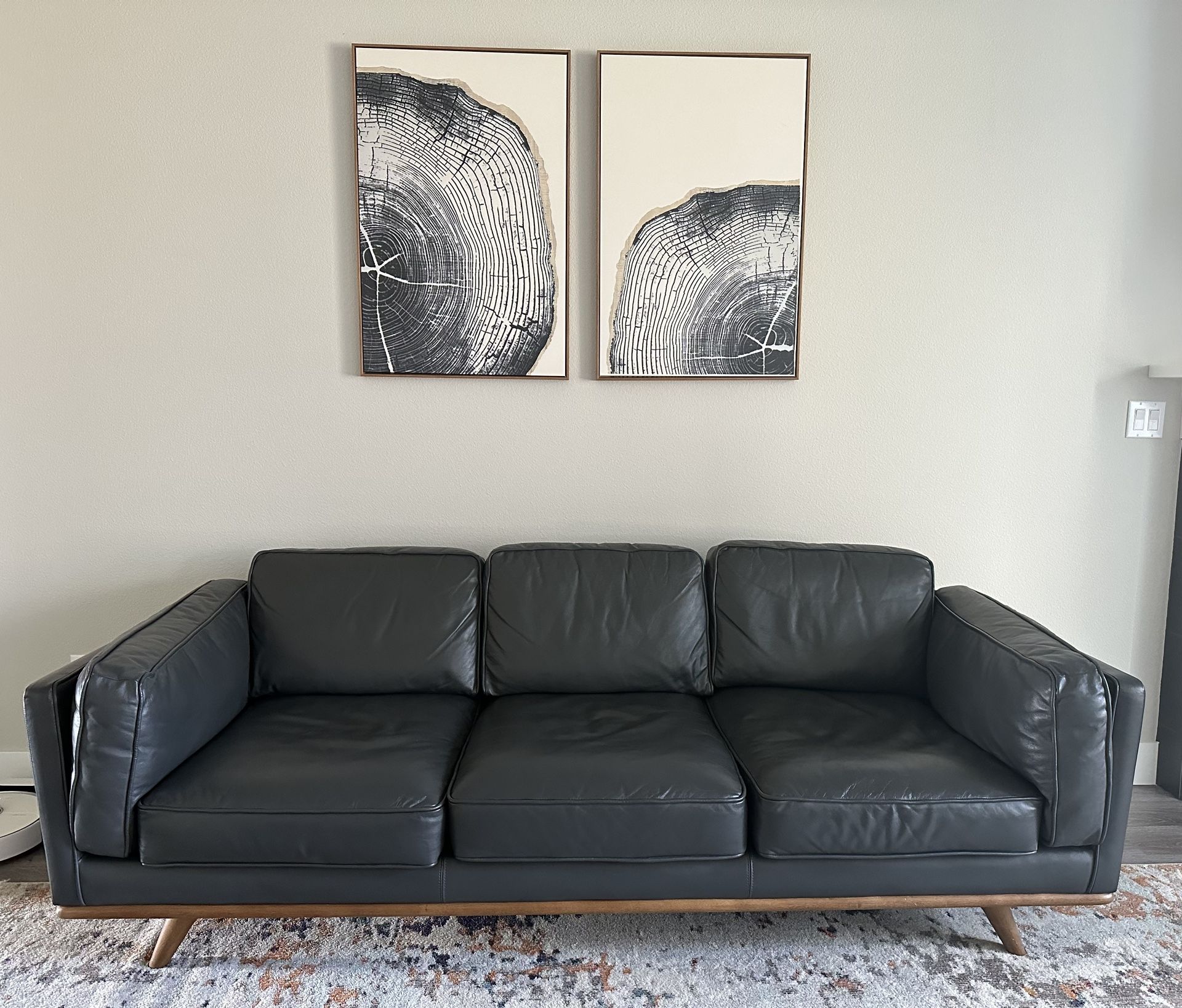 Mid-Century Modern Leather Couch
