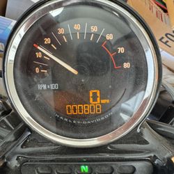 2020 Harley Davidson Roaster 1200 XL