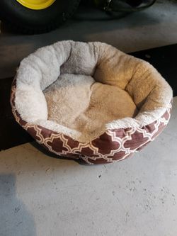 Cat Bed