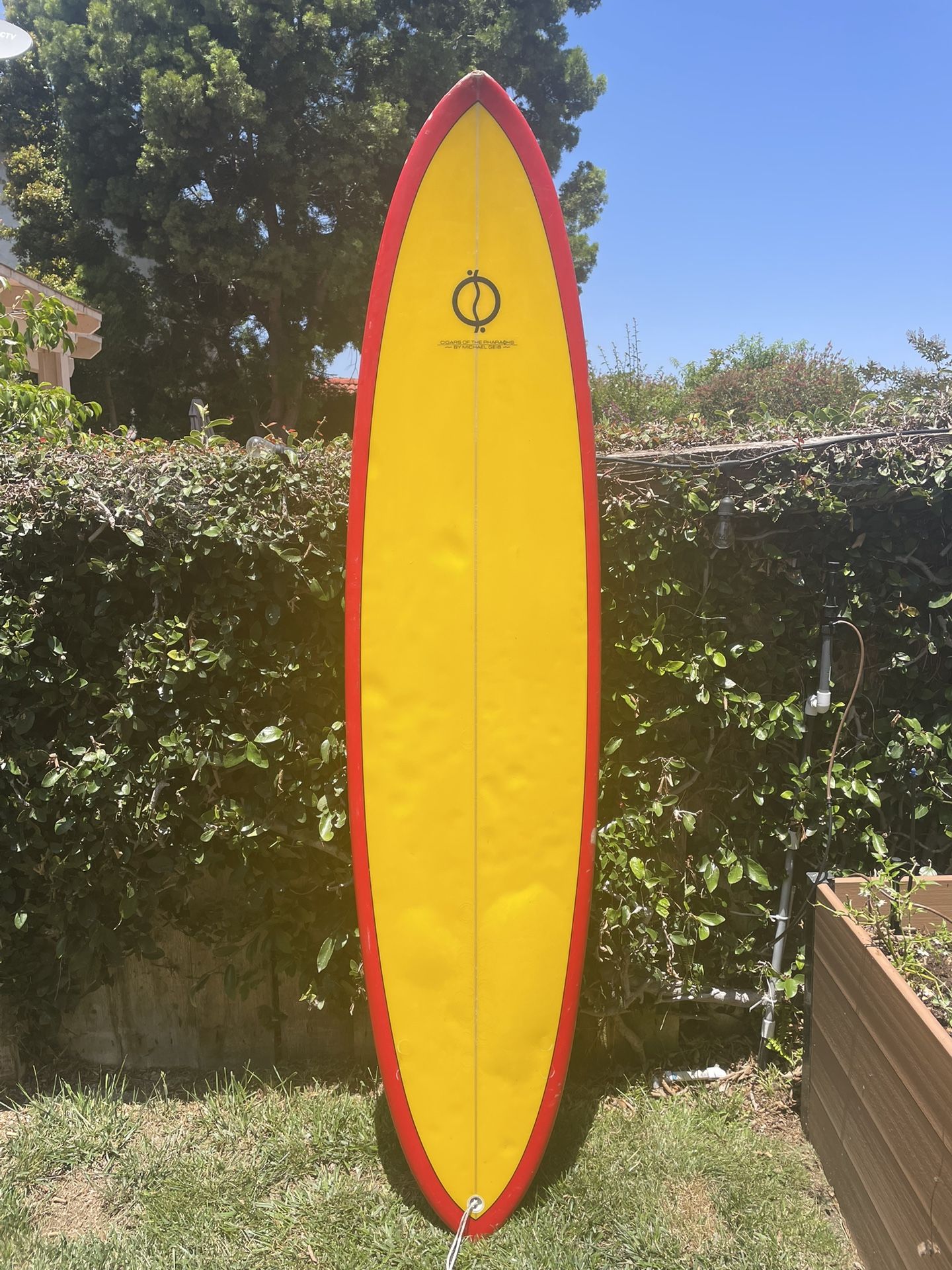 Surfboard Performance Egg