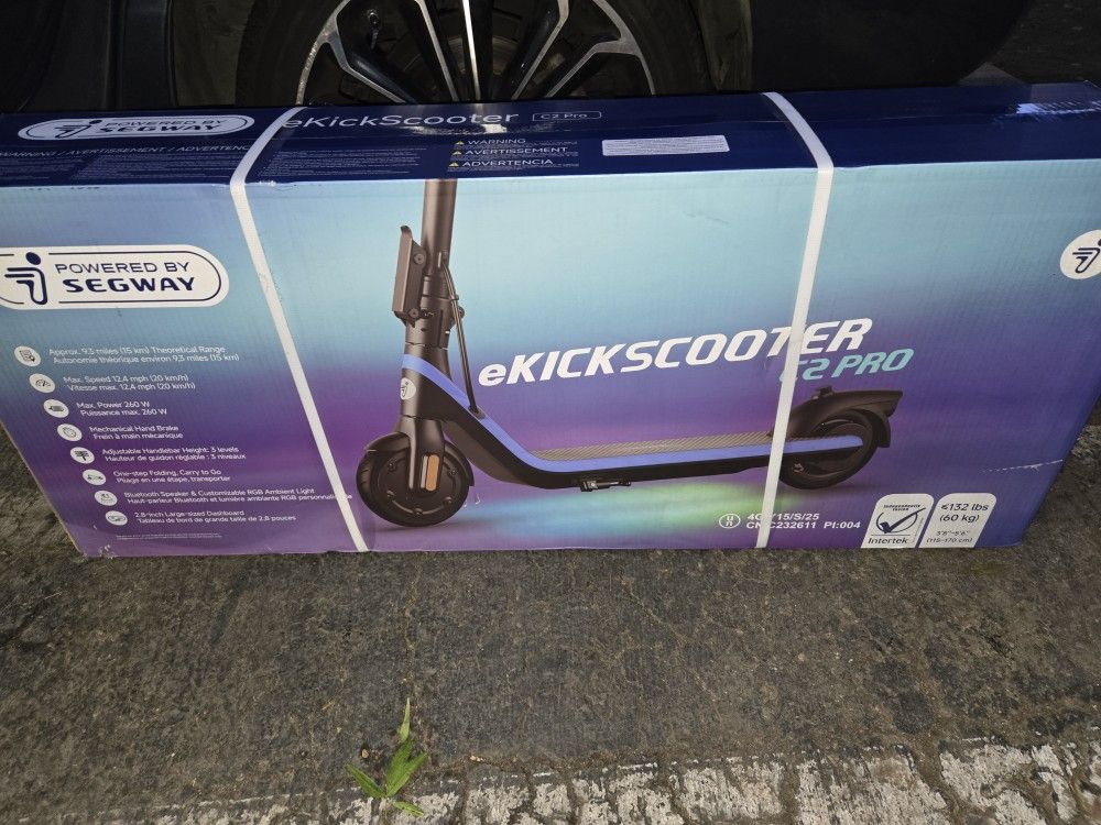 Electric Scooter