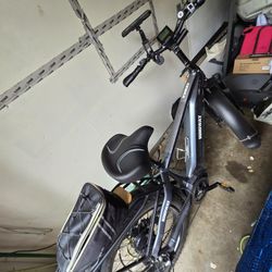 Hemiway zebra (just serviced)