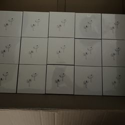 AirPod Gen 2 Pro’s