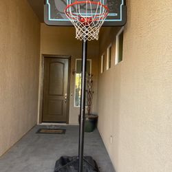 Lifetime Basketball Hoop System