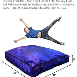 Dog Bed / Bean Bag / Play Pad