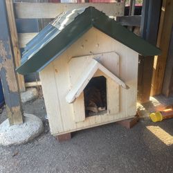 Dog House 