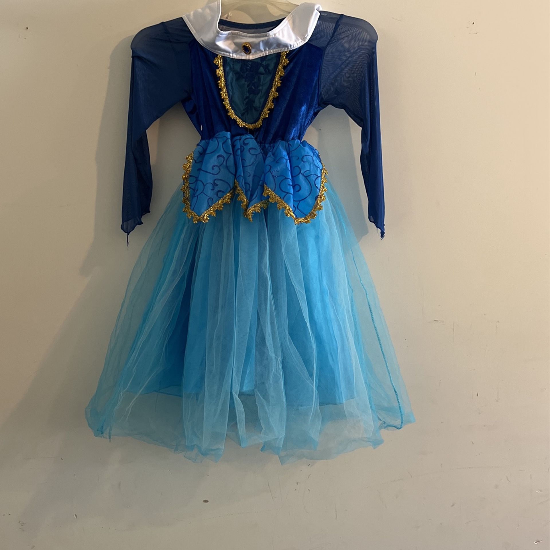Blue Aurora Halloween Costume