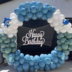 Balloon Arch