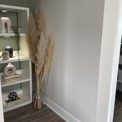 Pampas Grass And Glass