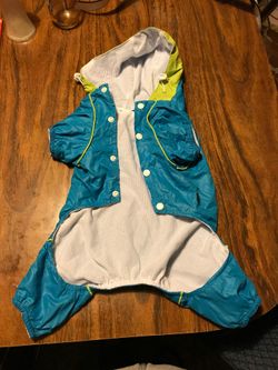 raincoat for a small puppy