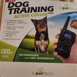 Dog Training Collar 