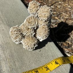Selenite Desert Rose Crystal