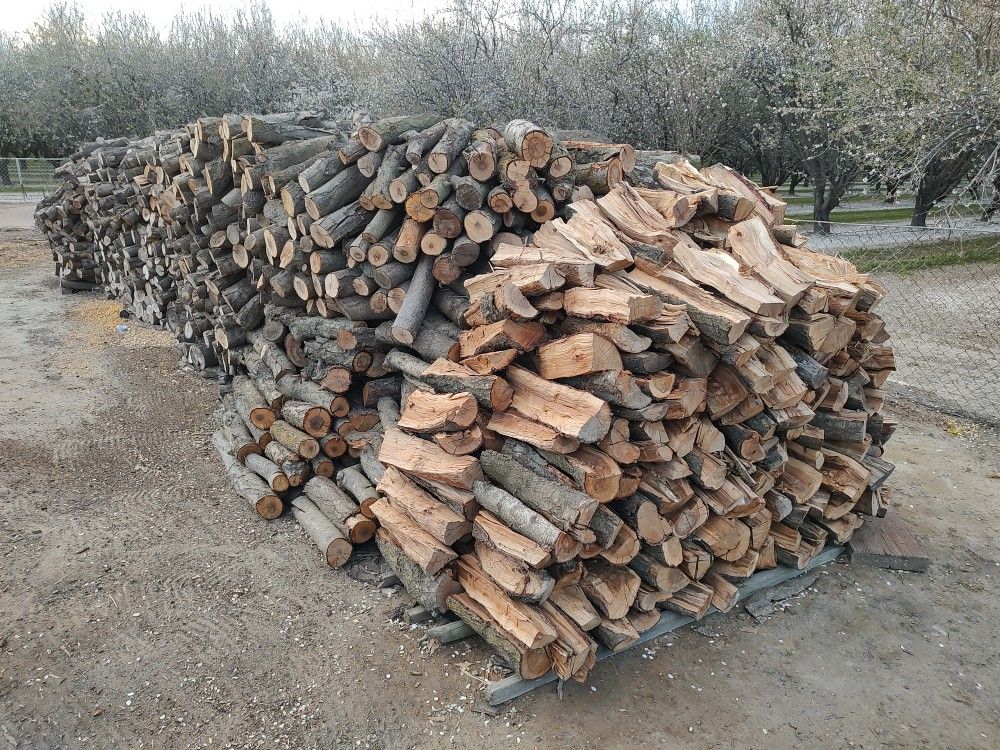 Almond Wood