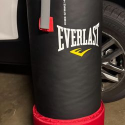MMA Punching Bag