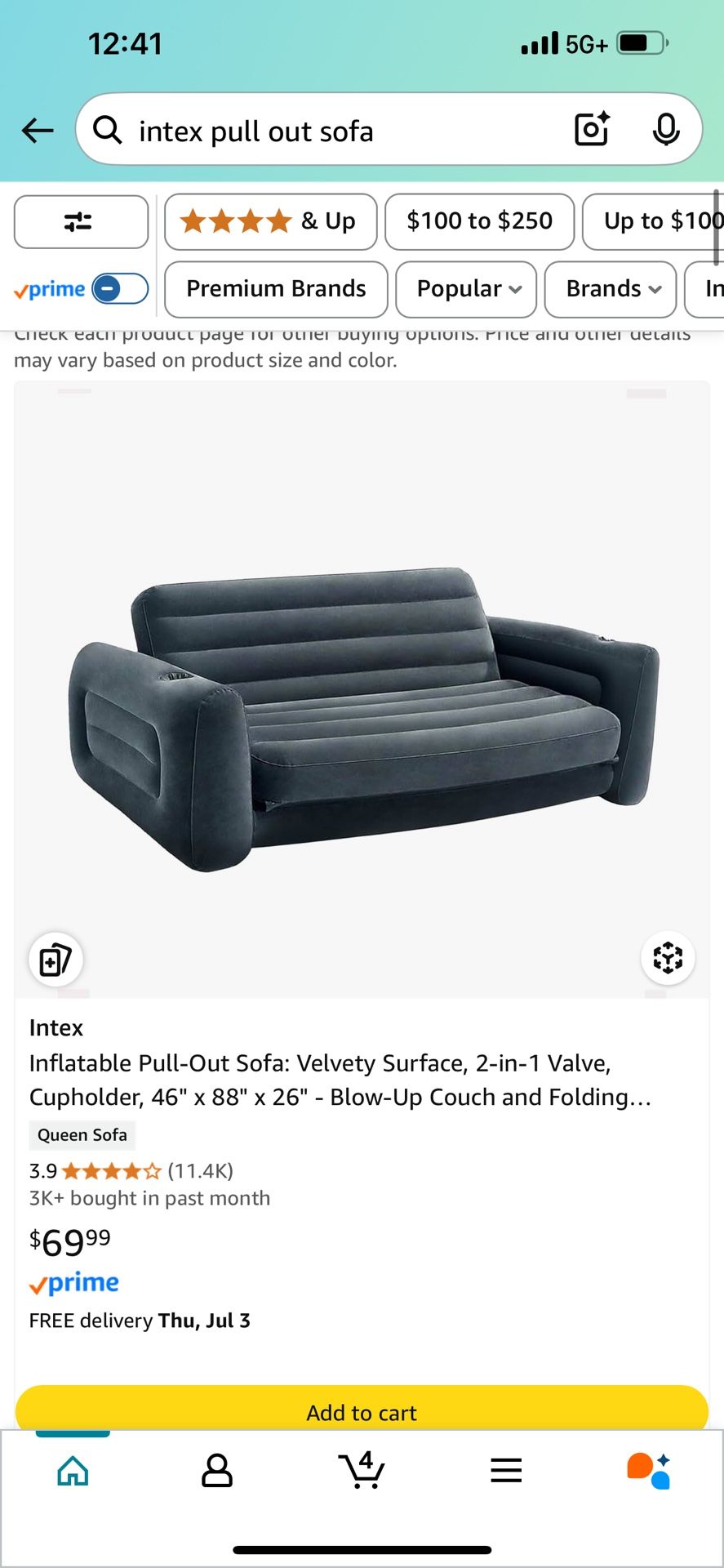 Inflatable Pull Out Sofa