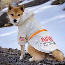 Dog Raincoats, Reflective Rain Jacket Water Proof, Dog NASA Costume, Dog Clothes, Pet Stylish Streetwear Outfit for Dogs Cat
