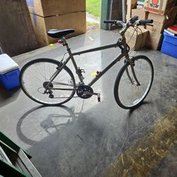 Globe Bike
