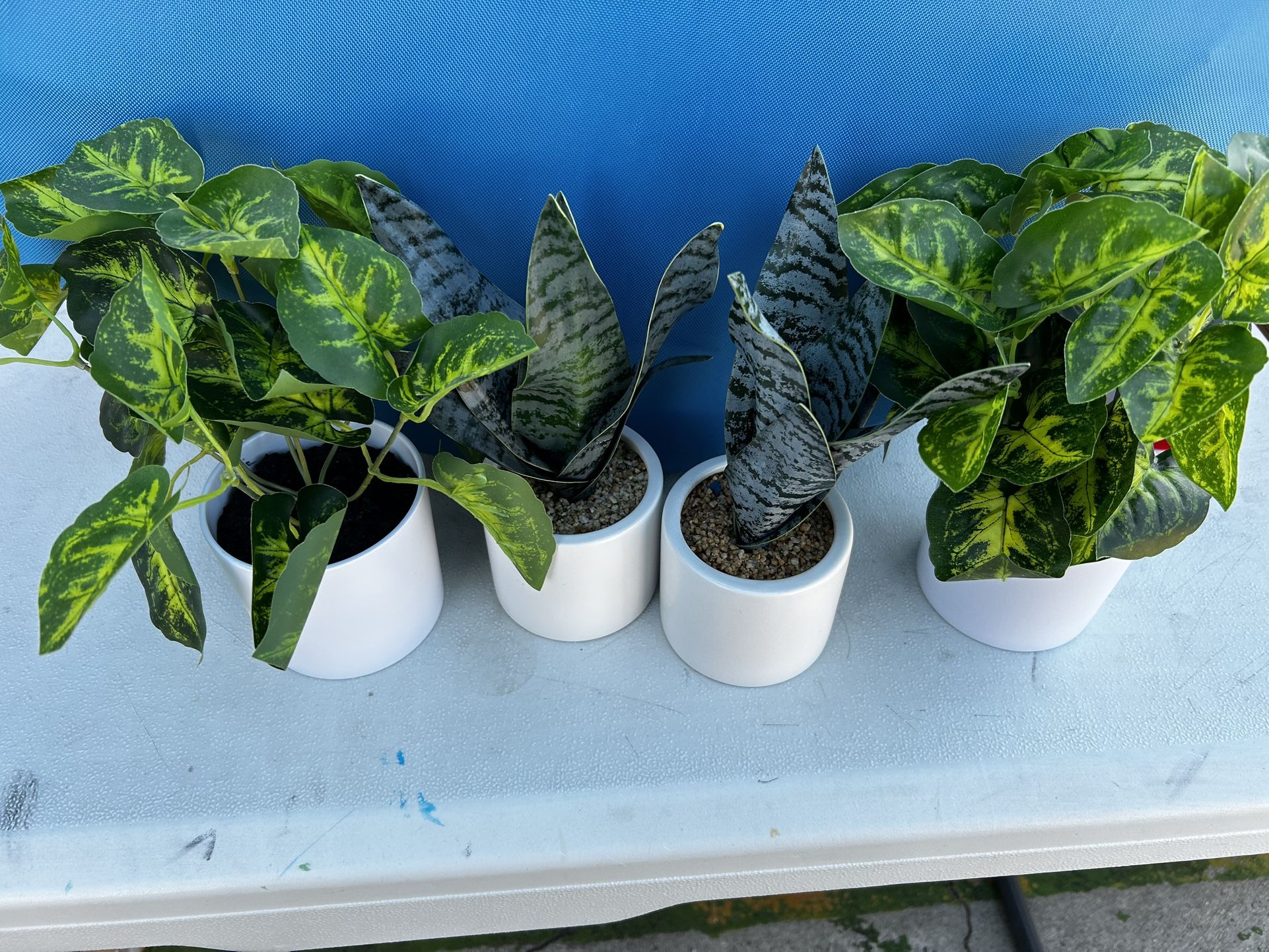 Brand New Fake Plants