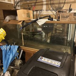 300 Gallon All Glass Stand With Solid Wood Stand