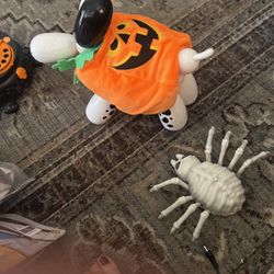 Animal Halloween costume