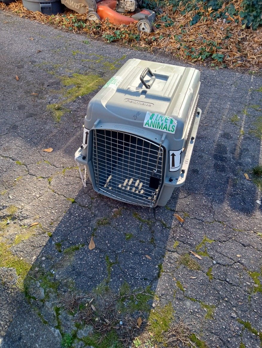 Small Pet Carrier