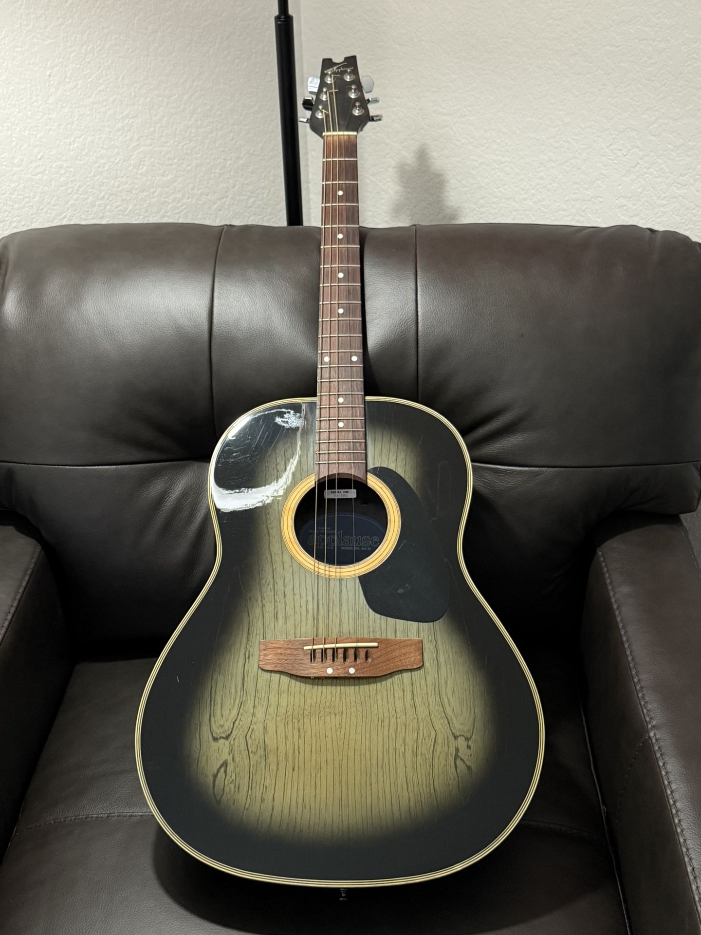 Applause AA-31 Acoustic Guitar With Road Runner Soft Guitar Case