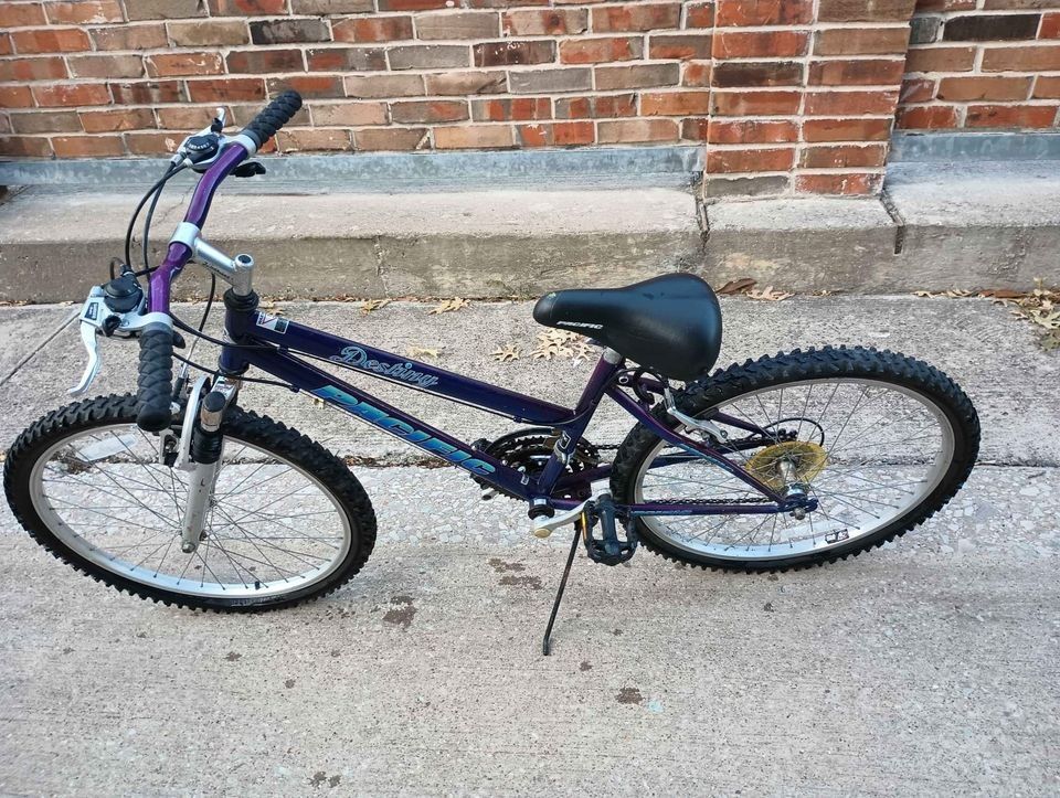 24" Pacific Destiny 21 Speed Mountain Bike Purple