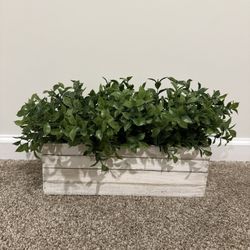 Faux Plant