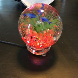 Murano Glassfish paperweight