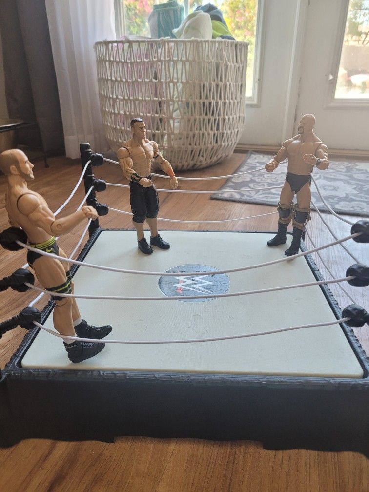 Collectible WWE Wrestlers And Ring