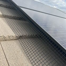 Solar Panels Cleaning 