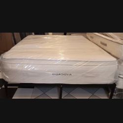 Queen, Avocado Plush Mattress - $1,500