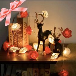 Rose Flower String Lights 10FT 20 LED Rose Flower LED Lights Battery Operated Gift for Lover 
