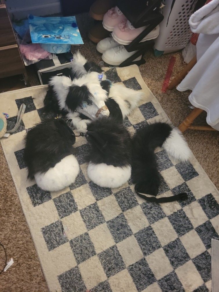 Furstuit