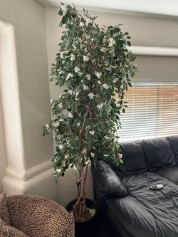 Faux Potted Trees (2) $100 EACH