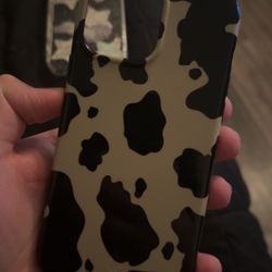 iPhone 13 Pro Max cases