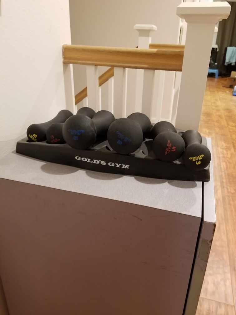 6 Dumbbell Set