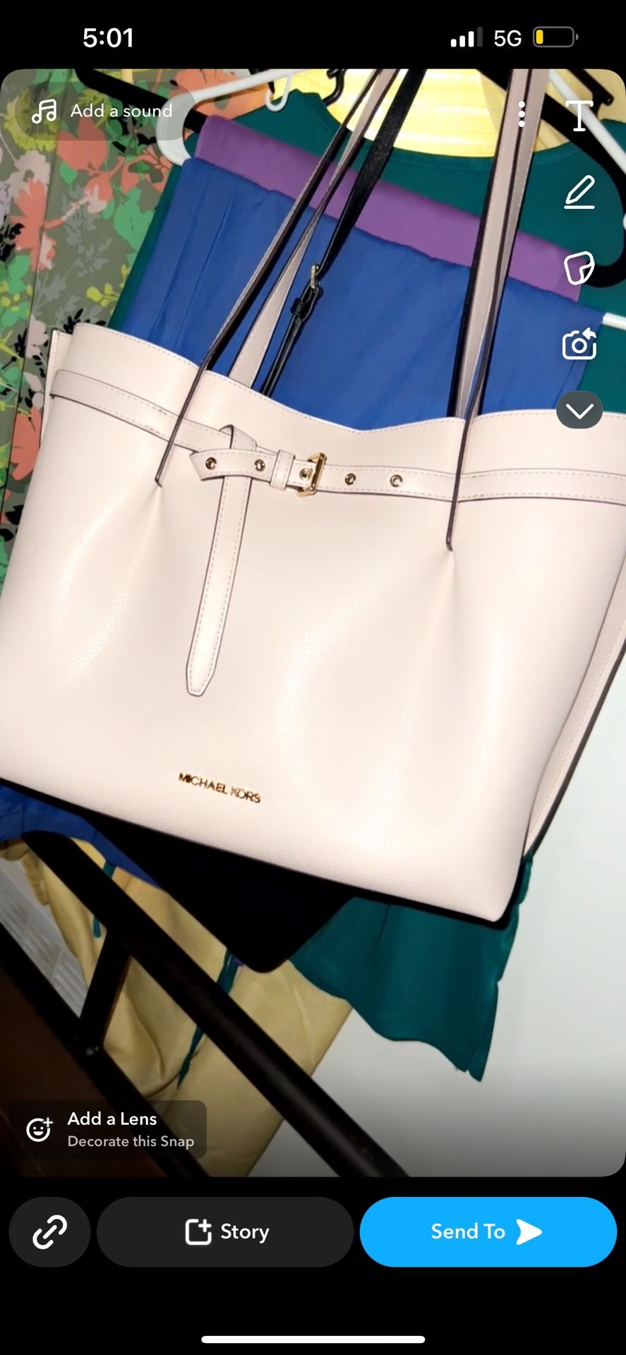 Baby Pink Michael Kors Bag