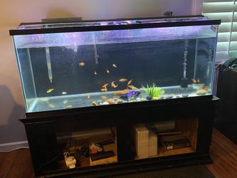 110 gallon aquarium petsmart sale