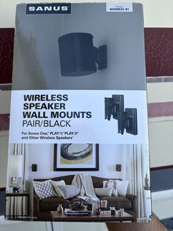 Wireless Speaker Wall Mount