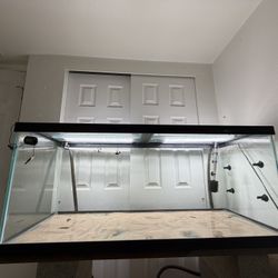75 Gallon fish Tank 
