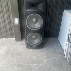 Speaker