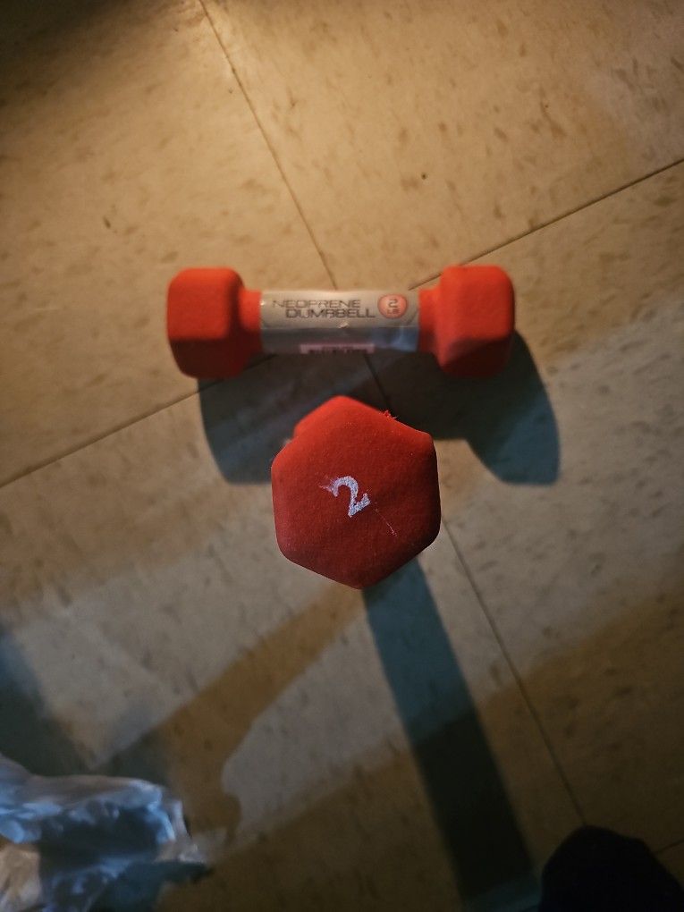 2-2 Lb Hand Weights