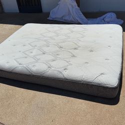 Sealy Queen Mattress